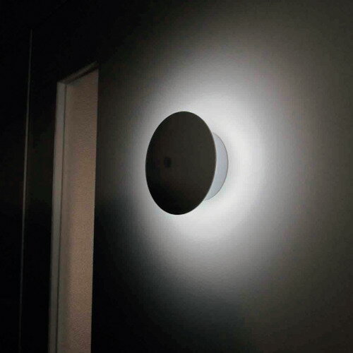 [防犯用センサーライト]ナカバヤシ（株） REVEX ミニセンサーライト やさしく光る丸タイプ SL101 SL101 1個