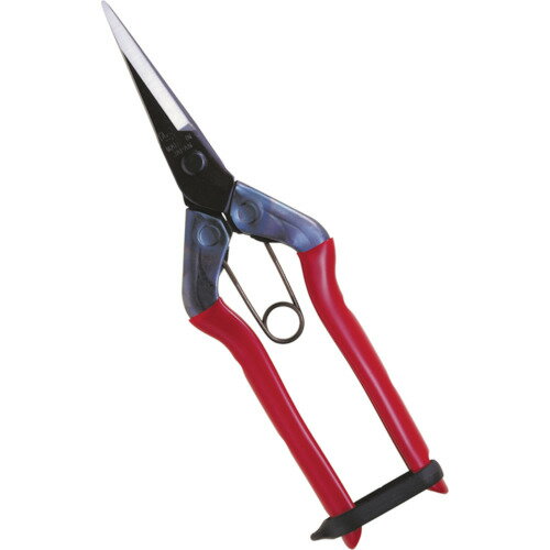 ■[剪定（せんてい）ハサミ]（株）近正 チカマサ 芽切鋏 T-551 1丁【代引不可商品】【メール便1個まで対..
