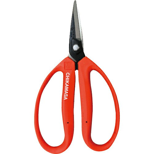 ■[剪定（せんてい）ハサミ]（株）近正 チカマサ　園芸鋏大型　M-600 1丁【409-4760】【代引不可商品】【メール便1個まで対象商品】(4)