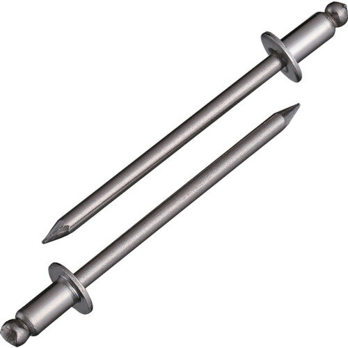 [ブラインドリベット]【送料無料】（株）ロブテックス エビ　ブラインドリベット（ステンレス／ステンレス製）　4−5（1000本入）　箱入 NST4-5 1箱（1000本入）【125-9318】【北海道・沖縄送料別途】【smtb-KD】