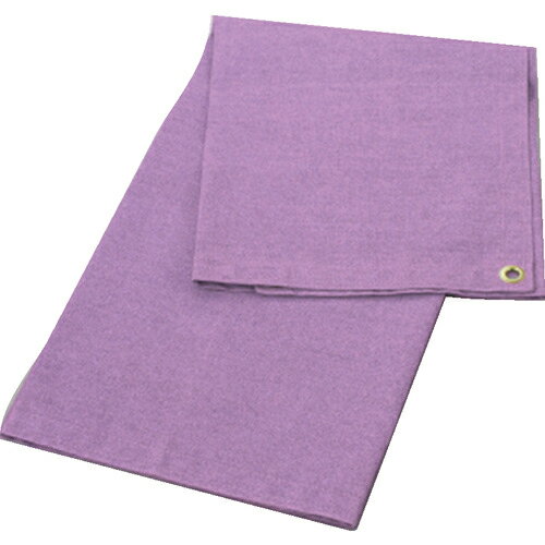 [ѥå]ȥ饹滳ʳ TRUSCOѥåȥե1桡920X920ԥ SPS-1AP 1149-6024