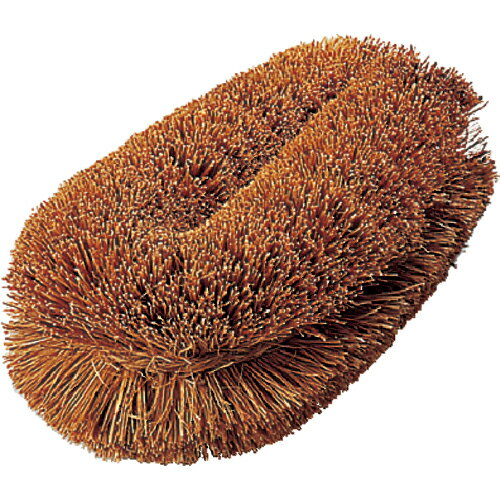 [たわし]トラスコ中山（株） TRUSCO　ナチュラルブラシ「いがぐり君」　110mm　TW-S 1個【004-3214】