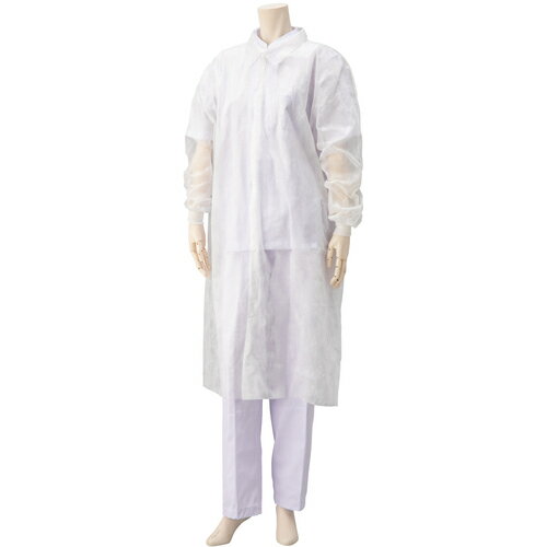 [ȤΤݸ]Եʳ 󥬡 󥬡ǥݥСMP10 OK0250WP 1ޡ401-6591