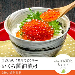 紅鮭いくら醤油漬け いくら 250g 送料無料！