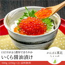 紅鮭いくら醤油漬け いくら 500g (250g×2) 送料無料！