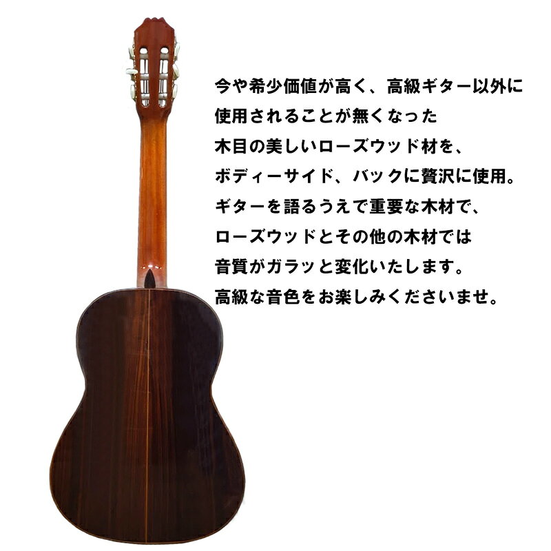 クラシックギター ARIA コンサートギター ACE-7S スプルーストップ ケース付 Made ...