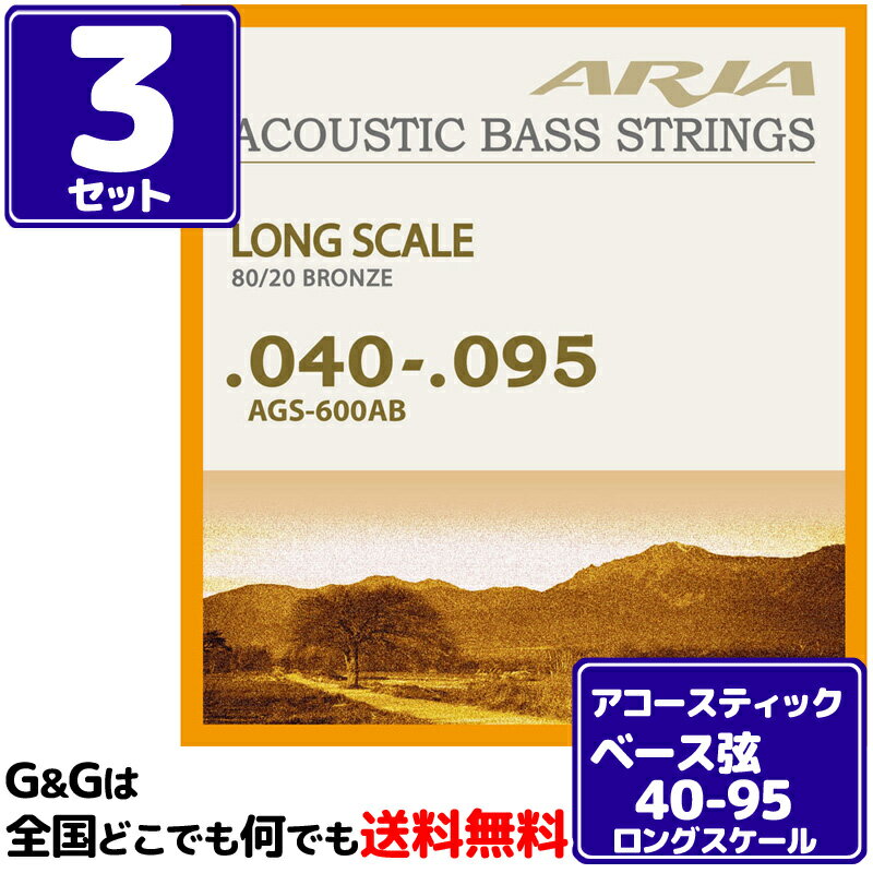 【3セット】AriaProII アコースティックベース弦セット AGS-600AB アリアプロ Acoustic Bass, Long Scale 40-95
