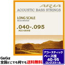 【1セット】AriaProII ...