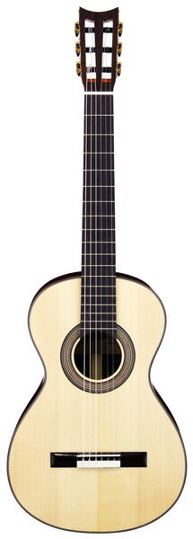 完全検品、未展示品　Aria アリア 19世紀ギター/クラシックギター A19C-100N NAT： ...