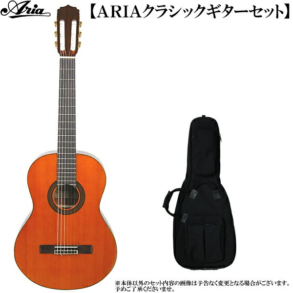 クラシックギター入門セット ARIA アリア A-20 Guitar：2点セット 【送料無料】【smtb-KD】【RCP】：-as-p10
