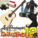 Aria Dreadnought AD-211 -Dreadnought- NAT ナチュラル 【オ ...