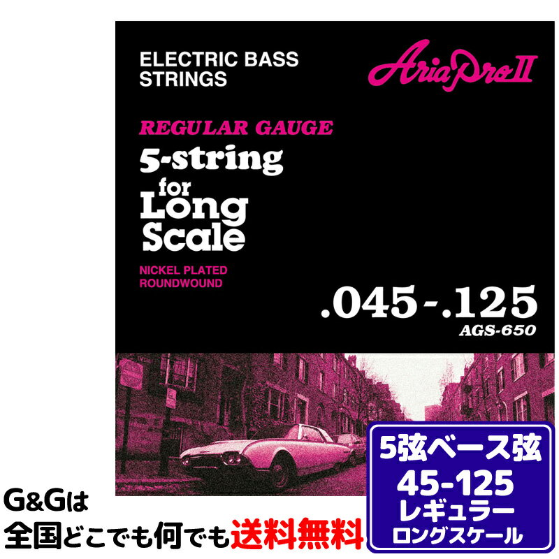 AriaProII 5弦ベース弦セット AGS-650×1セ