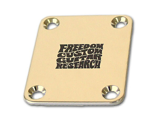 FREEDOM Tone Shift Plate SP-JP-04 Gold ゴールド ブラス 3mm 【送料無料】【smtb-KD】【RCP】：-p2