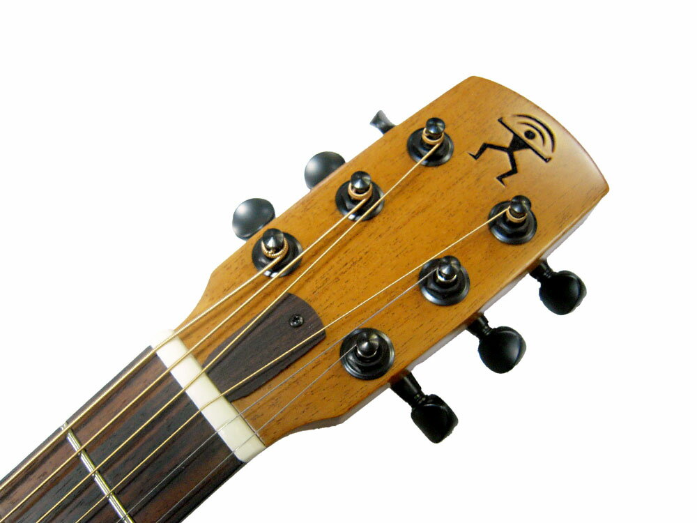 a Nue Nue(アヌエヌエ)　BirdGuitar(バードギター)　斬新デザインのアコースティックギター(セミグロス仕上げ)　「aNN-M10」/aNNM10【送料無料】【smtb-KD】【RCP】:-as