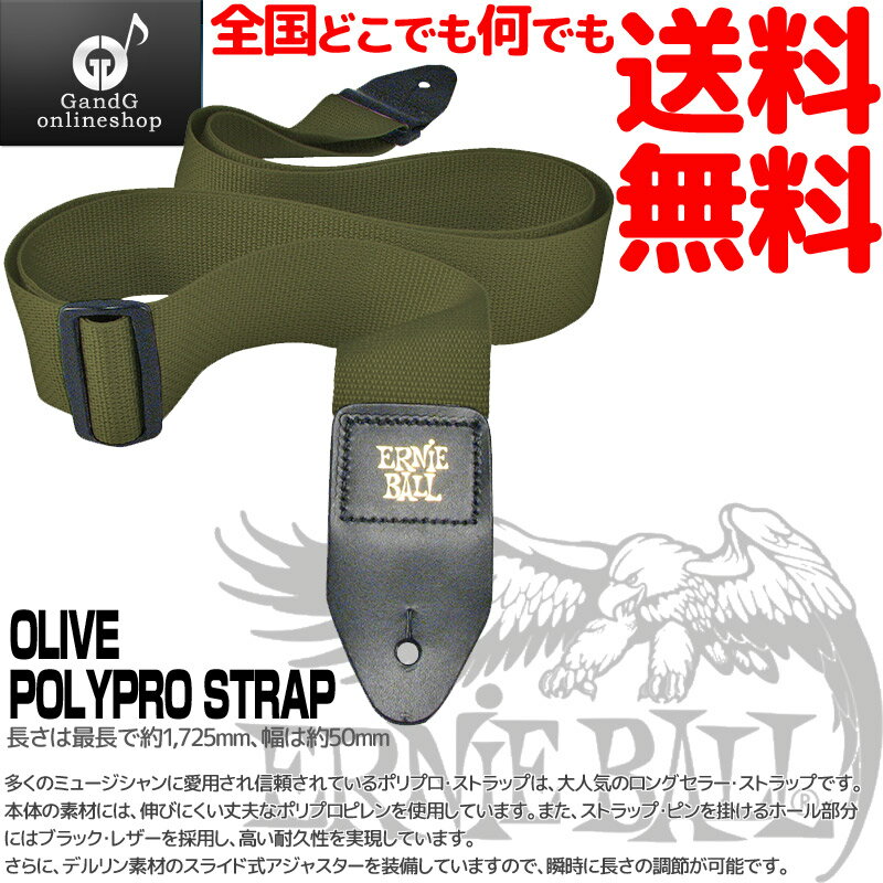 アーニーボール ギターストラップ ポリプロ オリーヴ色 オリーブ ERNIEBALL POLYPRO STRAPS Olive 4048 【送料無料】【smtb-KD】【RCP】：-p2