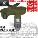 【ポイント10倍！4月29日まで】アーニーボール ギターストラップ ポリプロ オリーヴ色 オリーブ ERNIEBALL POLYPRO STRAPS Olive 4048 【送料無料】【smtb-KD】【RCP】：-p2