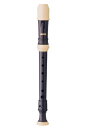 AULOS アウロス ソプラニーノ シンフォニー 506B G 【送料無料】【smtb-KD】【RCP】:-p2