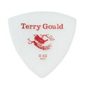 【ポイント10倍！4月29日まで】PICK BOY(ピックボーイ) Terry Gould/GUITAR PICK GP-TG-R/06(triangle 0.60mm)×10枚セット テリーゴールド ギターピック 【送料無料】【smtb-KD】【RCP】：-p5