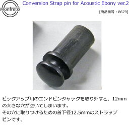 アコギ用 アコースティックギター用 ストラップピン エボニー モントルーパーツ 8679 Conversion Strap pin for Acoustin Ebony ver.2【送料無料】【smtb-KD】【RCP】