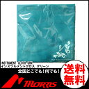 【ポイント10倍！5/6まで】モーリス インストゥルメント クロス グリーン Morris Instruments Cloth Green 楽器用 クリーニングクロス