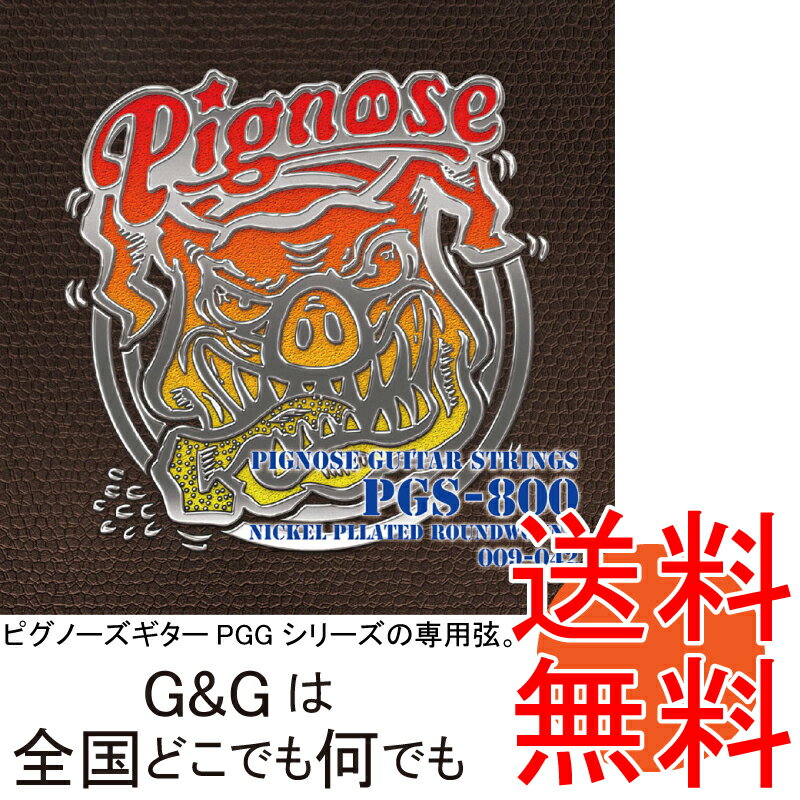 （1セット売り）ピグノーズギターPGG シリーズの専用弦。PGS-800 PGG-200 用 エレキギター弦 セット弦 PIGNOSE PGG200 GUITAR STRINGS【送料無料】【smtb-KD】【RCP】