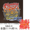 【ポイント10倍！4月29日まで】（1セット売り）ピグノーズギターPGG シリーズの専用弦。PGS-800 PGG-200 用 エレキギター弦 セット弦 PIGNOSE PGG200 GUITAR STRINGS【送料無料】【smtb-KD】【RCP】