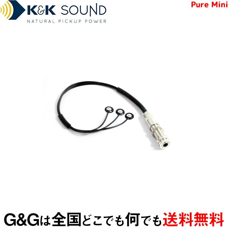 K&K  ƥåѥԥåå K&K Sound Pure MiniRCP:-p2