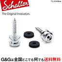 【ポイント10倍！5/6まで】Schaller S-Locks Strap Pin S SC ストラップピン Satin Chrome 24060300 サテンクローム