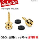 Schaller S-Locks Strap Pin S GO ストラップピン Gold 24060500 ゴールド