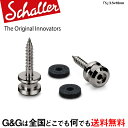 【ポイント10倍！5/6まで】Schaller S-Locks Strap Pin S RU ストラップピン Ruthenium 24060600 ルテニウム