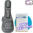 【お得!楽器を守る湿度調整シート付！】 GID エレキギター用ケース チャコールグレー GPO-EG CGY＋モイ スキーパーレ…