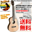 PONO ポノ RTC PC テナーウクレレ カッタウェイタイプ ハードケース付 ローズウッドモデル プロクラシックシリーズ【送料無料】【smtb-KD】【RCP】:-p2
