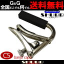 ☆SHUBB シャブカポ C5 カポタスト バンジョー用 フラット指板 ニッケル Standard Capo【送料無料】【smtb-KD】【RCP】:-p2