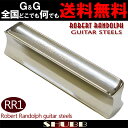 【ポイントUP!27日1時59分まで!】SHUBB シャブカポ RR1 スライドバー スチールギター用 ハワイアン カントリー ブルース Robert Randolph guitar steels