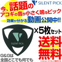 驚異の弱音効果！ サイレントピック SP-3 SILENT PICK ピック型弱音器 SP3 おうち時間にオススメ