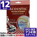 【お得な12セットまとめ買い】送料込み!格安弦 アコースティックギター弦セット シヴィン Civin ACOUSTIC GUITAR STRINGS 12-53 CA60-M