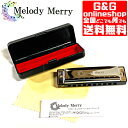 【ポイント10倍！4月29日まで】（Key=D♭）10ホールズハーモニカ 20音 ブルースハープ ブルースハーモニカ Melody Merry Harmonica Blues Harp MH-100