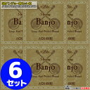 【ポイント10倍!マラソン期間限定】【6set】Aria AGS-100BJ バンジョー弦 6セット