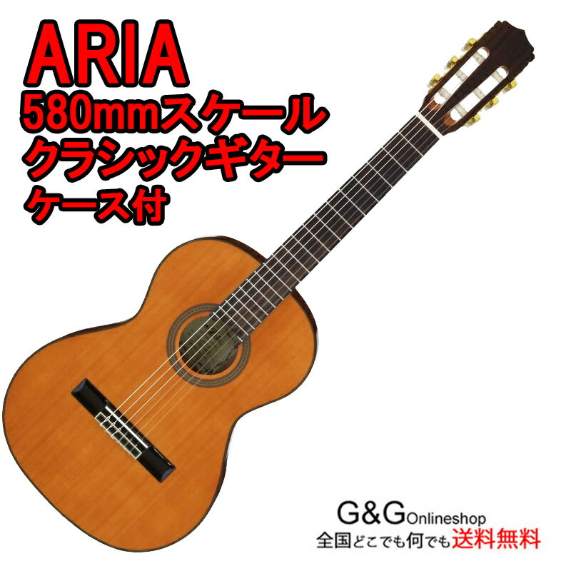 クラシックギター入門セット Aria アリア A-20-58 Guitar：2点セット 【送料無料】【smtb-KD】【RCP】