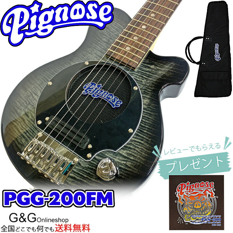 ڥӥ塼ŵꡪԥΡ PGS-800ץ쥼ȡۥ¢ ѥȤʥ쥭 Pignose PGG-200FM SBK ԥΡ PGG200 Flamed Maple See-through Black ߥ˥ 롼֥å̵