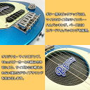 【期間限定！特別価格】ピグノーズ アンプ内蔵 コンパクトなエレキギター 11点セット Pignose PGG-200 MBL Metallic Blue メタリックブルー ミニギター【送料無料】【smtb-KD】【RCP】 3