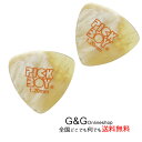 PICKBOY GUITAR PICK CRAFT GP-CF-S/120×2枚セット 1.20mm クラフト ギターピック 【送料無料】