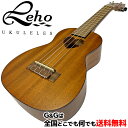 鼈甲柄のバインディングをあしらい、高級感を漂わせるルックスのLeho Ukulele が、さらにキュートになりました！ サウンドホールがハート型に設計されており、個性あふれる外観です。 ペグは、初心者の方でもチューニングがしやすいギヤペグを採用。 軽やかで甘い音色が心地よく、リーズナブルな価格帯ですので、初めての1本目のウクレレとしてもオススメです。 嬉しいギグバッグ付です。 【商品詳細】 ■ボディサイズ:ソプラノ ■ボディ材:マホガニー ■ペグ仕様:ギアペグ ■ギグバッグ付属