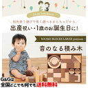 エデュテ baby&kids SOUNDブロックス 【無料ラッピング対応！】Edute SOUNDブロックスLarge プレミアム 10ヶ月 1歳 2歳 木製 赤ちゃん 知育 ベビー プレゼント 玩具 室内 ORG-020 エデュテ【RCP】 fssl