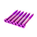 Titanium String Lock Screw Set (6)?PURPLE・各種類-6本セット FU-Tone チタンストリング・ロック・スクリューは、究極の強度、耐久性、およびパフォーマンスを提供します。超軽量でしかも強靱です。 Schaller、FU-Tone、Floydトレモロに対応しています。 究極の高性能 チタンハードウェアを使用して、あなたのロッキング・トレモロをパワーアップさせてみませんか ! カラフルなチタンハードウェアを使えば、間違いなく目立つことでしょう！ チタンといってもいろいろなグレードがあります。一般的に多くみられるのは40,000Psi（引張強度）しかし、FU-Toneのチタンハードウエアは、認定されたGrade5（6AL-4V）チタン合金で作らており、一般的なチタンの3倍以上の140,000Psi（引張強度）という高い品質のチタンを採用しています。