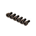 【ポイント10倍！5/6まで】Titan Saddle Screw Set(6)-BLACK