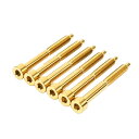 Titan Lock Screw Set (6)?GOLD