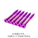 Titanium String Lock Screw (1)?PURPLE