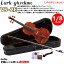 【1/8サイズ】ブランドを代表するバイオリンセット カルロ・ジョルダーノ VS-2e Carlo giordano Violin Set