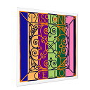 【ポイント10倍!マラソン期間限定】PIRASTRO ピラストロ パッション チェロ弦 G線 4/4 GUT/CHROME STEEL CELLO PASSIONE GUT 2393 G